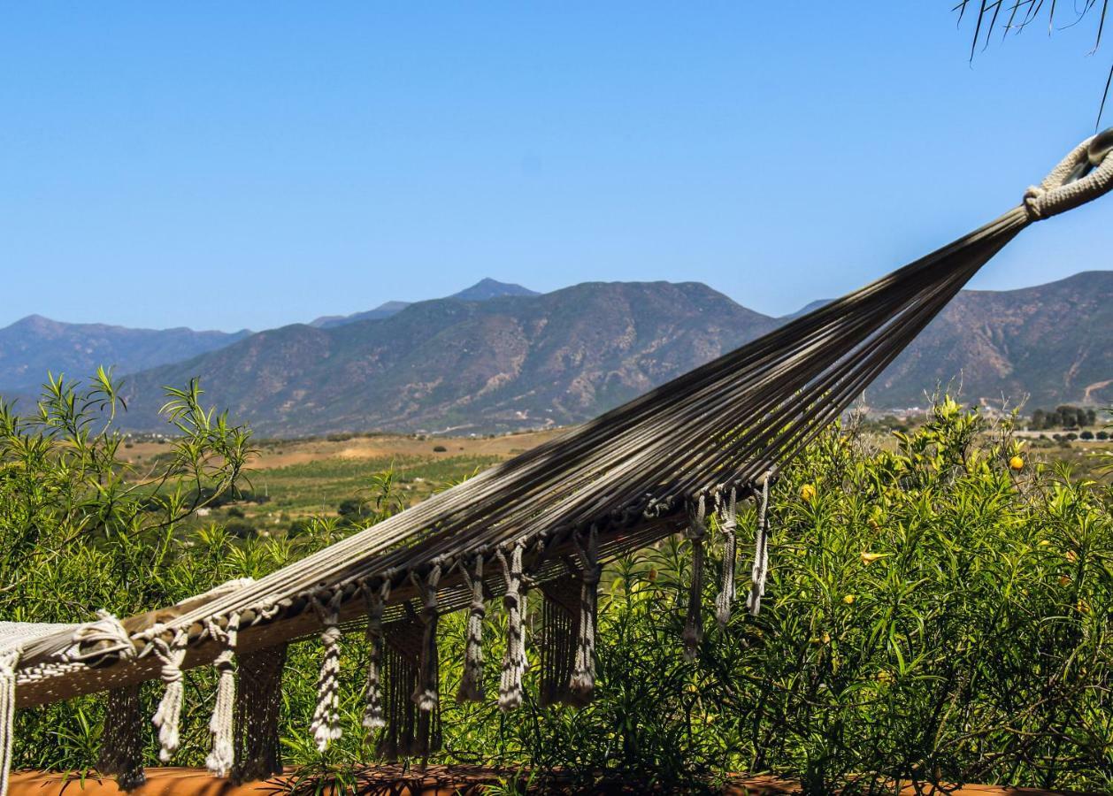 Rancho Cien Piedras Villa Sansoni Exterior photo
